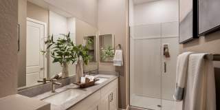 Elanto at Prasada Gallery 10