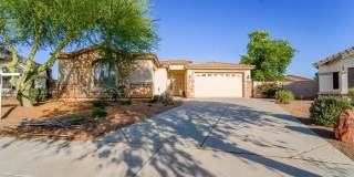 Oversized Lot + Dual Garages! 3 Bed + Den in Mountain Vista Gallery 4