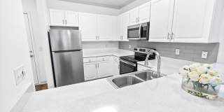 Olympus Carrington Gallery 3