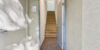 Altessa Gallery 19