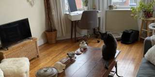 One Bedroom Comm @ Warren Brighton/Allston Gallery 1