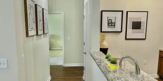 Morgan's Bluff Gallery 5