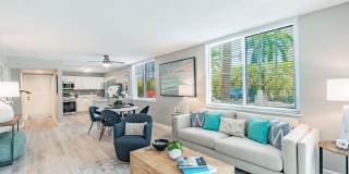 Bermuda Cay Gallery 8