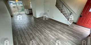 255m Gallery 1