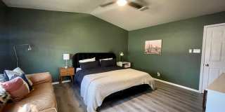 29608 TERRA VIS Gallery 11