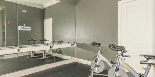 Venetian Isle Gallery 17