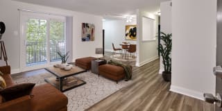 Phoenix View Gallery 5