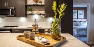 Alta Longwood Gallery 88