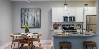 The Vinings at Brushy Creek Gallery 10