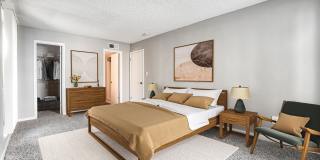 Royal Palms Gallery 1