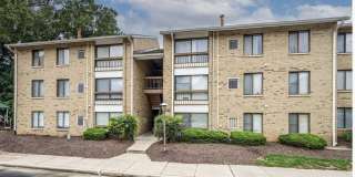 8870 Spiral Cut Gallery 1