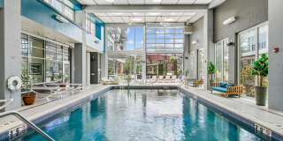 Albion At Morrow Park Gallery 2