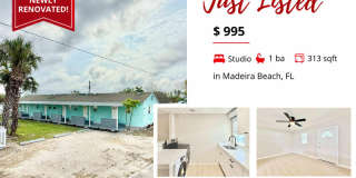 13207 3rd Street East - 2 Gallery 1