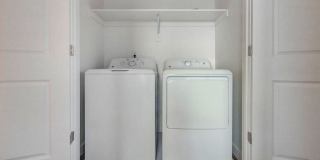 Hamilton Crossing Gallery 19