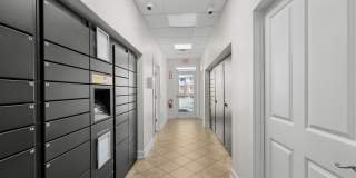 White Oak Luxury Apartments Gallery 24