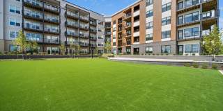 The Galaxy at Polaris Gallery 38