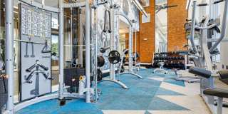 Pearl Dadeland Gallery 24