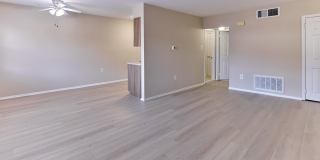 Maple Grand Gallery 12