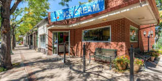 1313 North Williams St Unit 501 Gallery 50