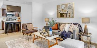 Windmill Cove Gallery 1