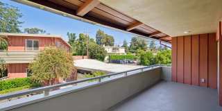 Bay Tree Gallery 47