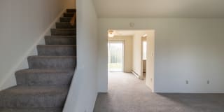 Lake of the Woods Gallery 24