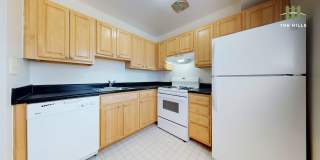 Mallow at The Hills Gallery 3