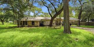 19214 Grey Forest Gallery 1