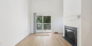 The Estates Gallery 10