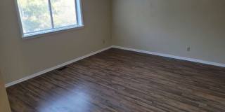 Hollybend Gallery 10