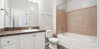 Tree Park Apartments Gallery 28