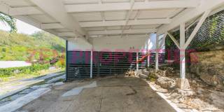 3 bdrm/ 1 bath home for rent in Kalihi Uka Gallery 6