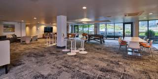 Alcyone Gallery 21