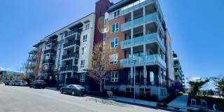 45128 Warm Springs Boulevard #330 - 1 45128 Warm Springs Boulevard #330 - 1 Gallery 1