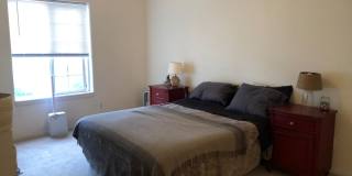 2 Bedroom, 2 Bathroom Centrally Located Condo Gallery 7