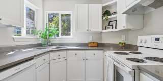 Skyline at Murrayhill Gallery 4