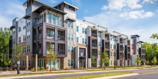 Century University City Gallery 30