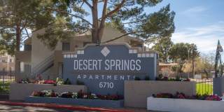Desert Springs Gallery 1