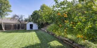19358 Alcona St Gallery 32