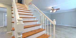 South Tampa single family Gallery 41