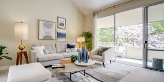 Americana Gallery 23