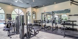 Avana Minnetonka Gallery 63