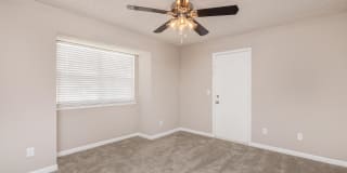 Sussex Downs Gallery 47