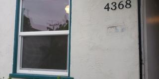 4368 Maple Street 4368 Maple Street Gallery 1