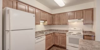 New Forest Gallery 1