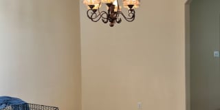 Beautiful Home in Stonegate!! Gallery 8