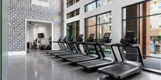 Cortland at Stonebriar Gallery 10