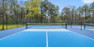 Renaissance Bay Gallery 31