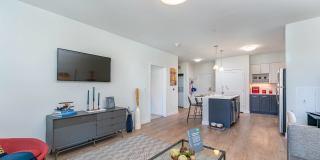 The Mastlight Gallery 40