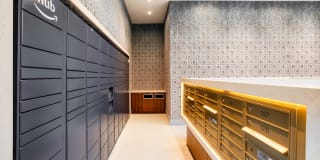 Monarch Gallery 25